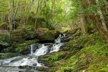 Fototapeta na wymiar Water flow in Ruri valley in Sonobe, Nantan city, Kyoto, Japan in summer
