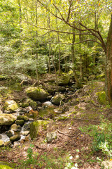 Water flow in Ruri valley in Sonobe, Nantan city, Kyoto, Japan in summer