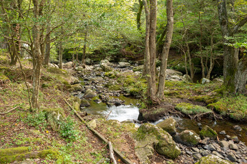 Fototapeta premium Water flow in Ruri valley in Sonobe, Nantan city, Kyoto, Japan in summer