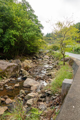 Fototapeta na wymiar Water flow in Ruri valley in Sonobe, Nantan city, Kyoto, Japan in summer