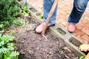 person digging in soil in outdoor garden 