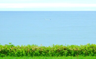 北海道･オホーツク海