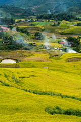 Obraz premium Terraced rice field landscape in harvesting season in Y Ty, Bat Xat district, Lao Cai, north Vietnam