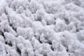 Fototapeta na wymiar Snow falling in the cold winter in northern China
