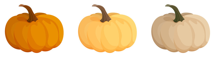 set of orange and beige pumpkin fruit. Autumn harvest. Autumn Halloween pumpkins. Edible plants. Cartoon vector on white background