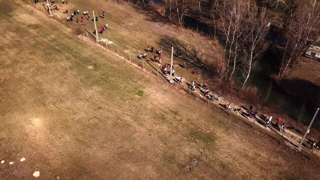 Aerial shot of a group of people walking and exercising their dogs off leash, on a country road