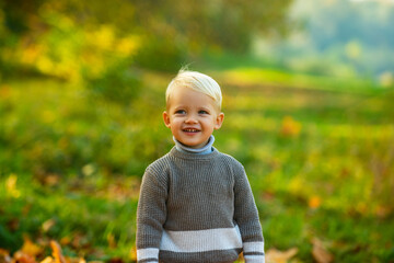 Adorable child with autumn leaves in the beauty park, maple leaves.