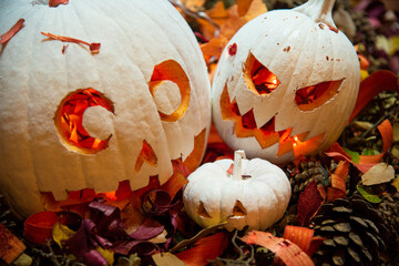 calabazas halloween noche de brujas otoño octubre cosecha ciclos samhain miedo asustadizo tradiciones