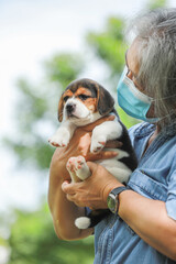 Portrait of Senior Asia woman with protective mask and with her puppy dog playing at the park.New normal style to protect virus.