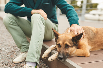 Close-up of man stroking his dog while it lying on the ground they walking in the city