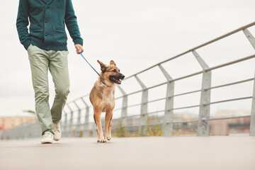 Close-up of man walking with his German shepherd on a leash along the bridge in the city - Powered by Adobe