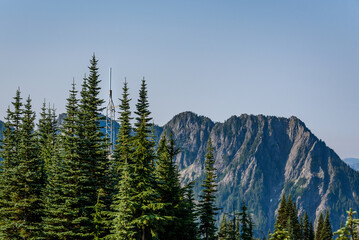 Omni communications antenna on a small tower camouflaged in evergreen trees, mountain ridge and sky in background
