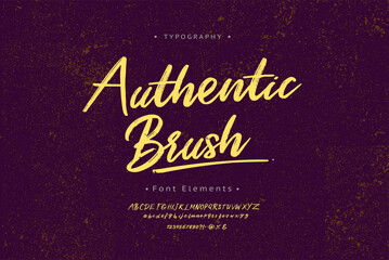 Handwritten lettering vector font alphabet, Authentic Brush. Vector font.