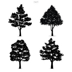 Tree silhouettes isolated on white background for landscape design. Vector.