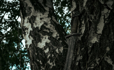sword on the tree