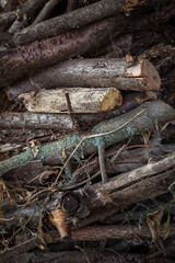 Natural wood. Birch firewood, lie on each other. woodpile