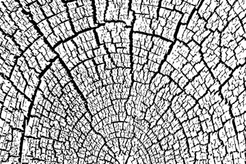 Fragment of an old tree with a knot ,invoice of wood.