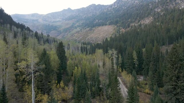 The Beautiful and Peaceful Scenery Of A Forest In Wasatch Mountain State Park In Utah, USA - Aerial Shot