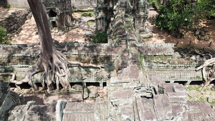 Fototapeta na wymiar Angkor archipelago, Ta Prohm