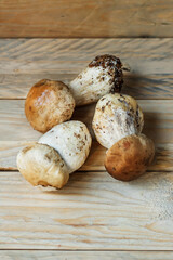 Soft focus on porcini mushrooms close-up. Mushrooms lie on wooden boards. White mushrooms. Popular white boletus. Cooking delicious organic mushrooms.