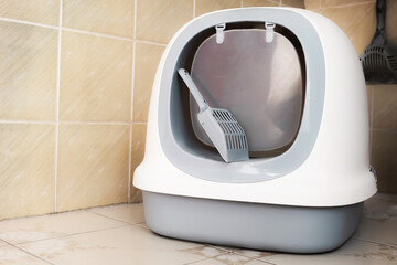 cat litter box with a scoop in the house. cat toilet dome design.