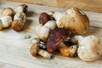 Mushrooms lie on wooden boards. White mushroom. Popular white boletus. Cooking delicious organic mushrooms. Porcini mushrooms close up.