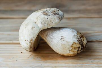 The mushroom lies on wooden boards. White mushroom. Popular white boletus. Cooking delicious organic mushrooms. White mushroom close-up.