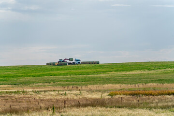 Fototapeta na wymiar Farm tractor in farm field during harvest