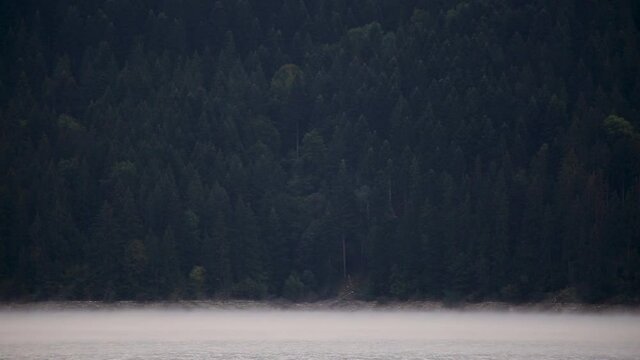 Majestic mountain landscape with fog steaming lake and virgin wild forest in vintage, hipster retro style.mov