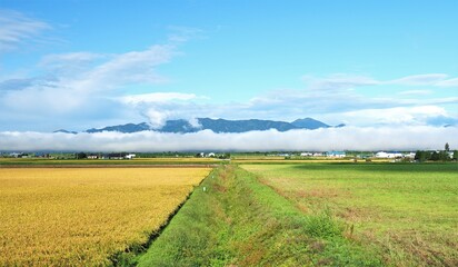 北海道･田園風景