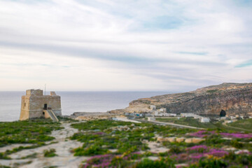 Fototapeta na wymiar Nature in ancient cities, Gozo island, Malta