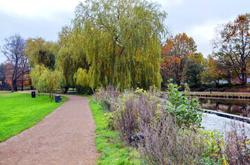 Fototapeta premium Denmark - Odense River Walk in Autumn