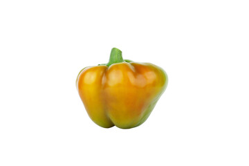 Colored raw bell pepper, white background