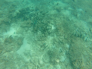 ocean, clear, pool
