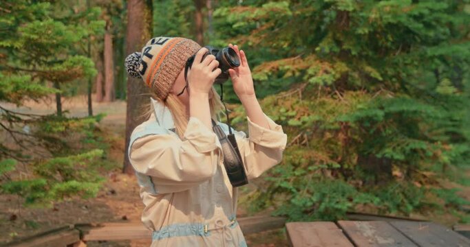 Photographer woman is taking picture of fall forest on camera on sunny cold autumn day. Slow motion of young traveler in green woods. Female exploring nature and forest with pine trees on background