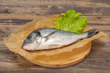 Raw Dorada fish  for cooking