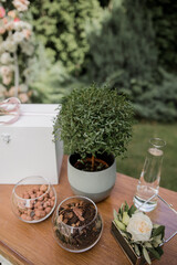 small decorative tree on the table