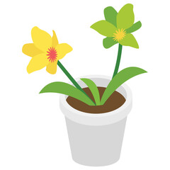 Pot plant flat isometric icon 