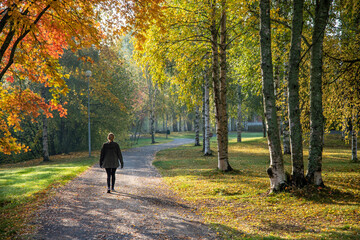 Fototapeta na wymiar Adult woman walking away alone on path in autumn park
