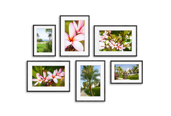 Black frames set with beautiful tropical flowers and palms pictures,  six frameworks collage  isolated on white wall