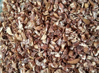 Areca nuts in macro size