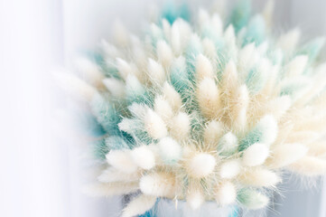 Dry bouquet made of flowers laveender with some blue and white fluffy tails. Close-up