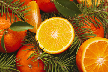 Ripe mandarins and pine branches on whole background