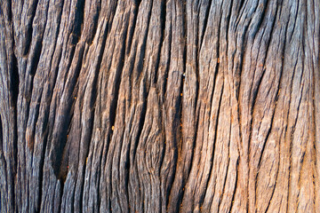 closeup the wood texture background and Wallpaper . - 381821157