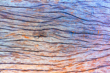 closeup the wood texture background and Wallpaper . - 381821194