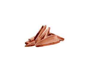 Watercolor sandalwood illustration. Hand drawn sandalwood bark isolated on white background. Herbal medicine and aroma therapy. Cosmetics and medical plant.
