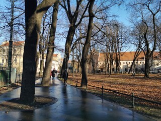 autumn in the park