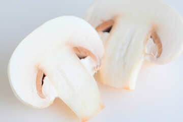 マッシュルーム