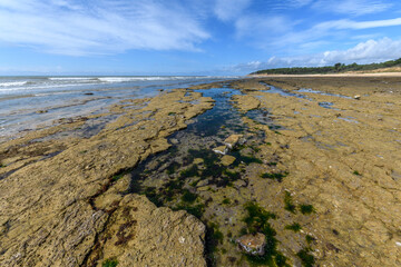 Landscape of the French Atlantic coast at low tide.