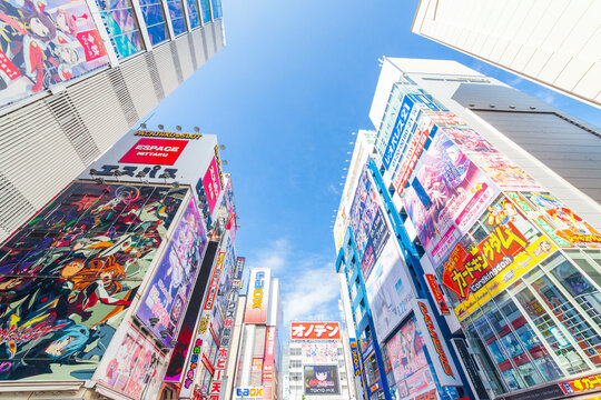 The Sendai Otaku Tour: Anime, Manga & Subculture in “Tohoku's Akihabara!” |  See Japan, Experience Sendai Activities